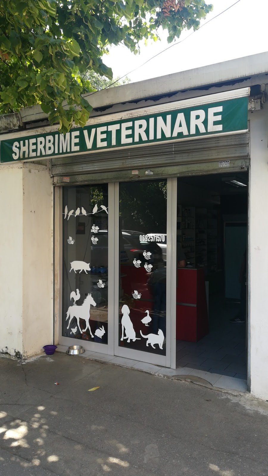 Klinikë Veterinare