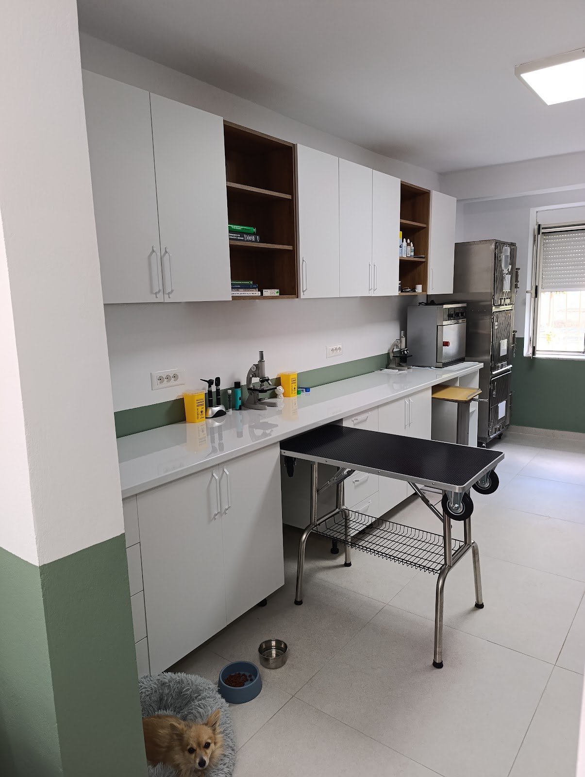 Klinika Veterinare Ibro