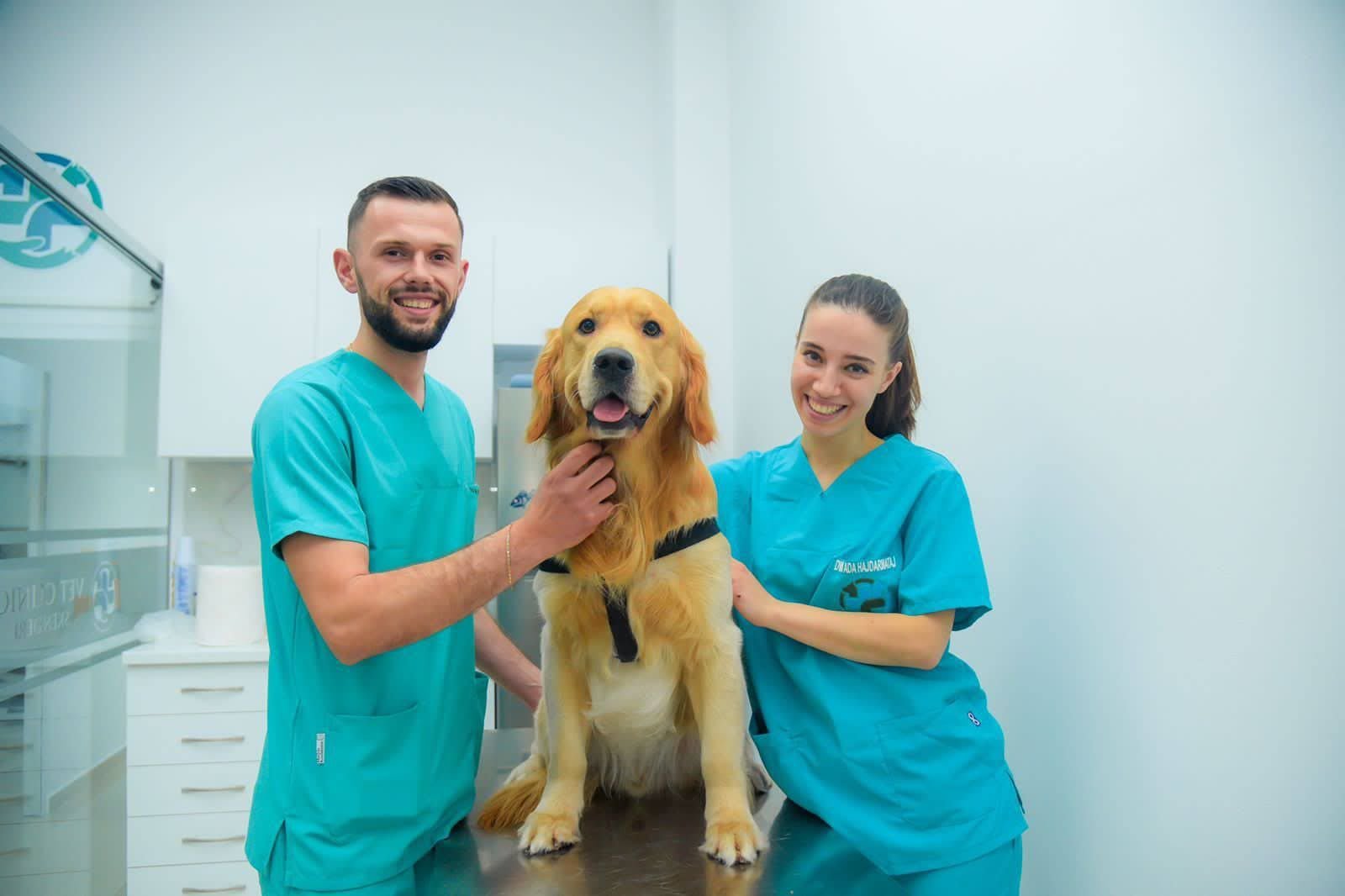 Klinikë Veterinare
