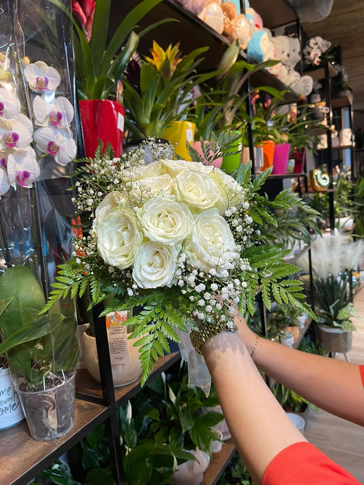Vip Flowers Lule Natyrale Vlorë