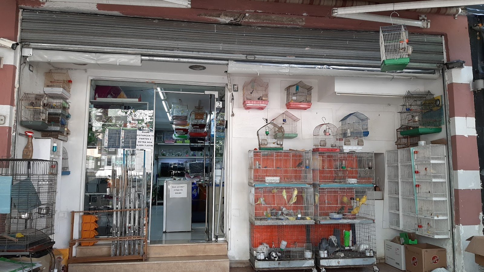 Pet Shop Tiranë
