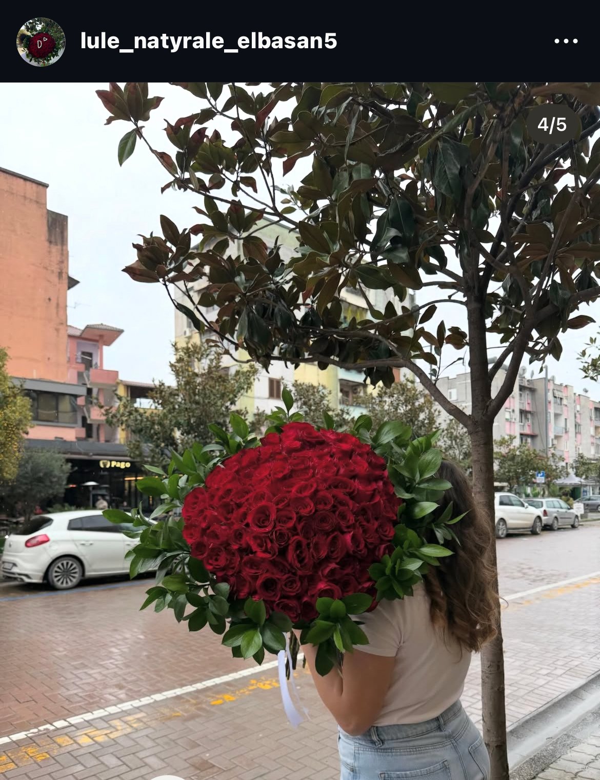 Lule Natyrale Elbasan