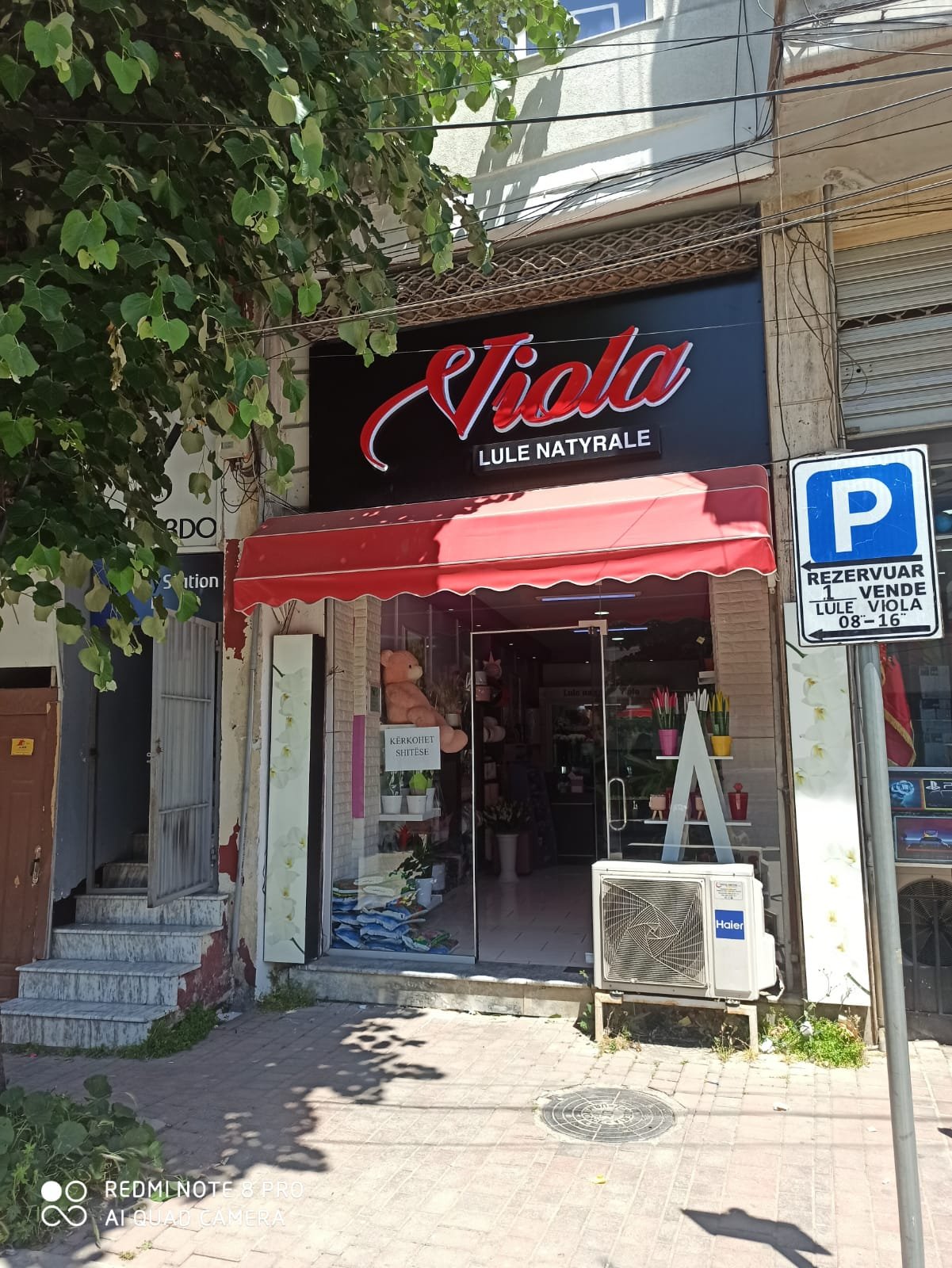 Lule Natyrale Viola Korçë