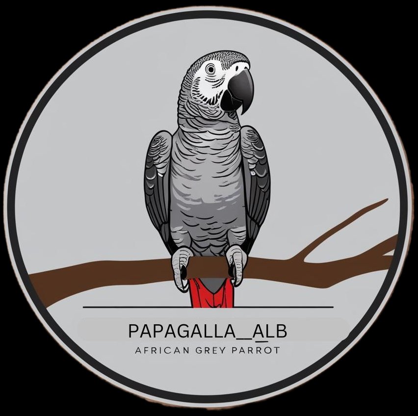 Papagalla__alb
